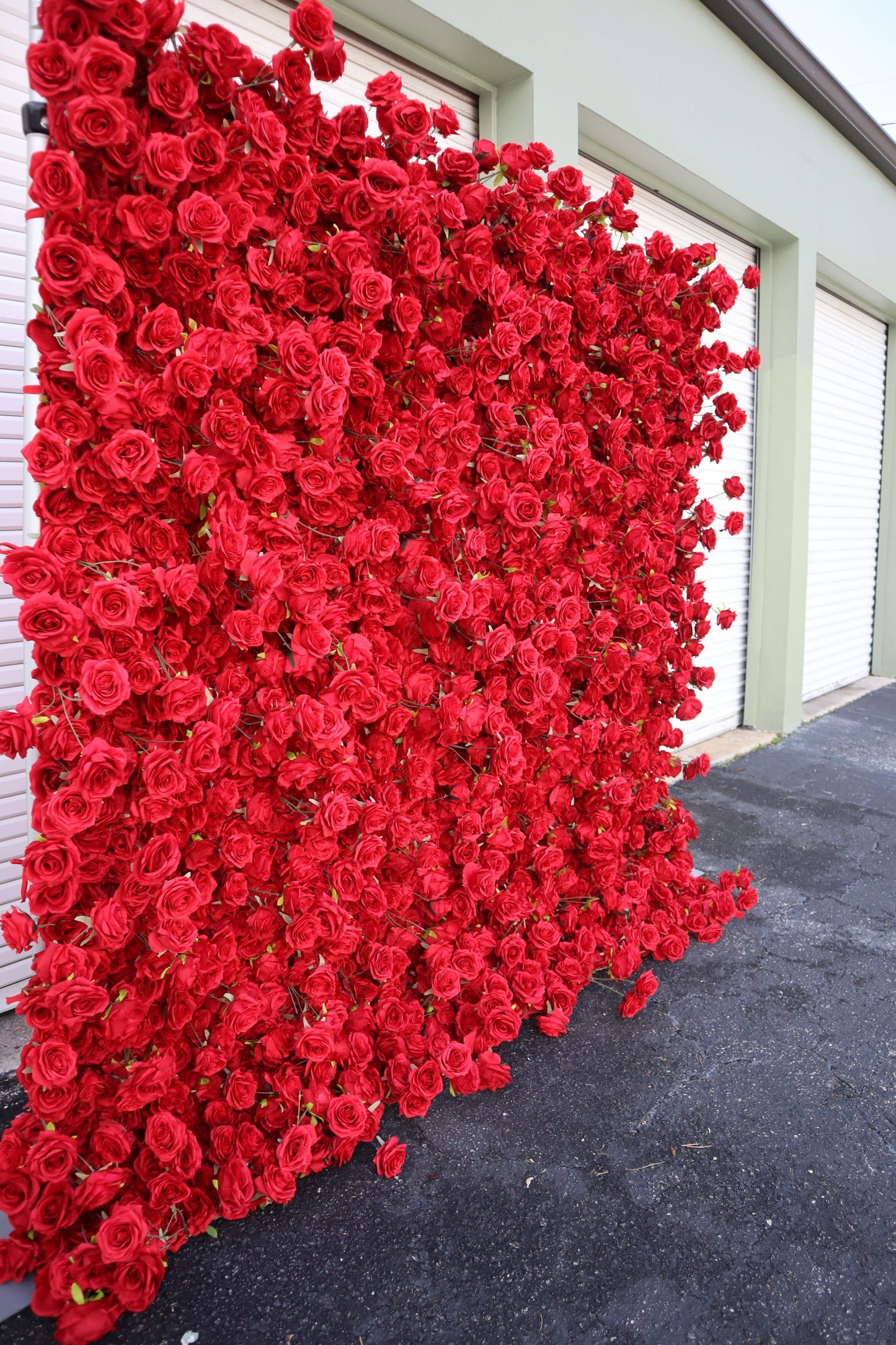 Red Rose Flower Wall