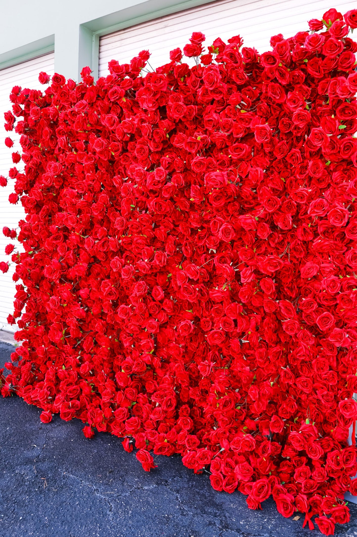 Red Rose Flower Wall