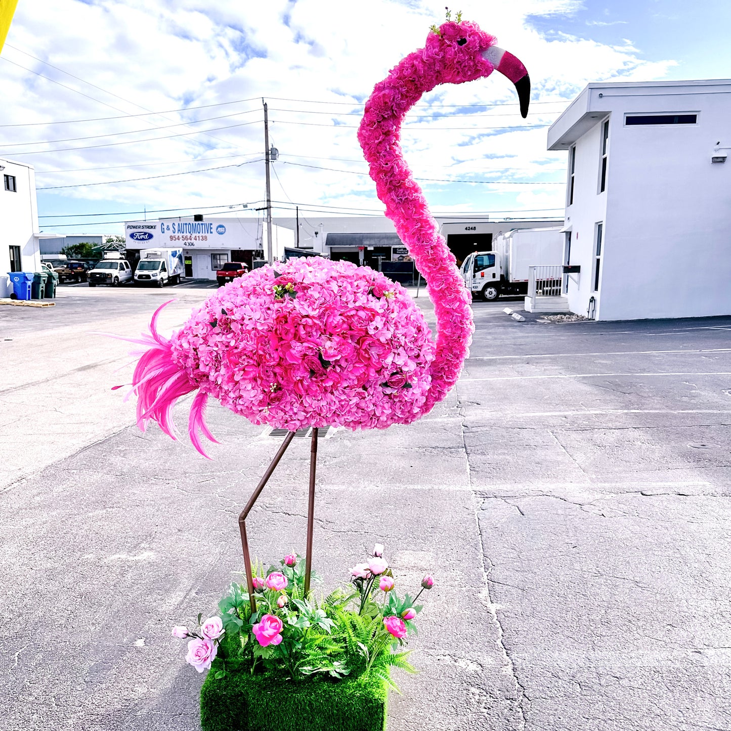 Pink Fleurmingo