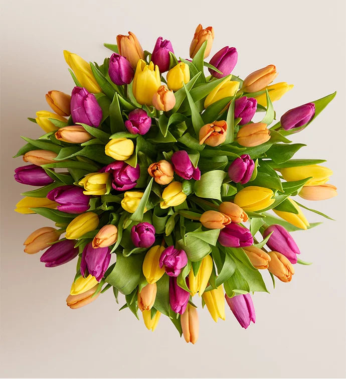 Spring Assorted Tulip Bouquet