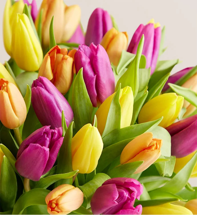 Spring Assorted Tulip Bouquet