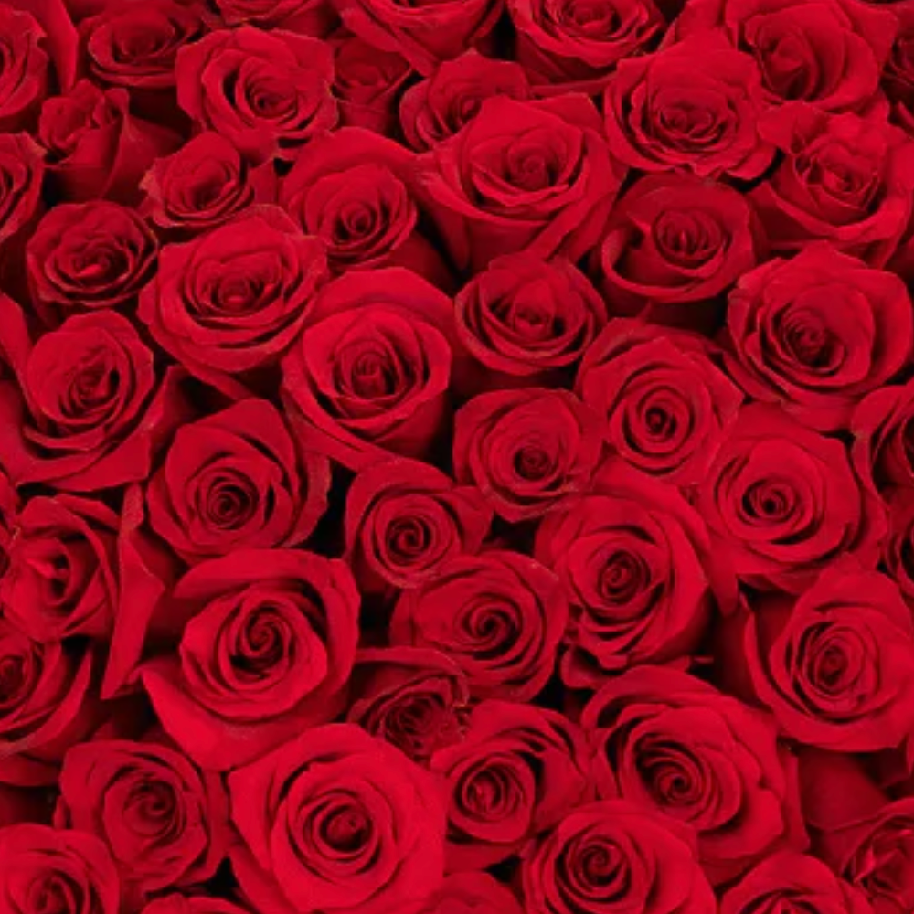 Ultimate Luxury Wrapped Rose Bouquet