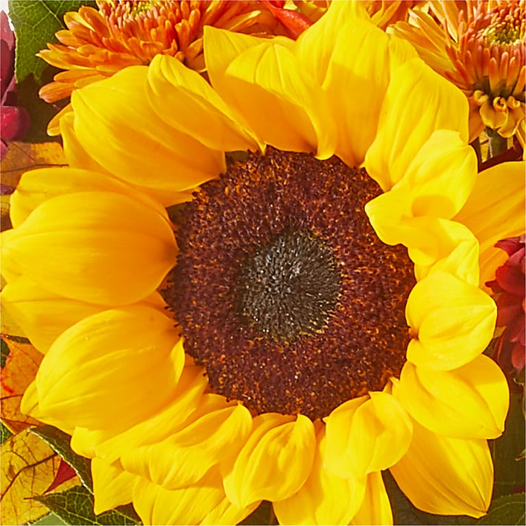 Golden Horizon Bouquet