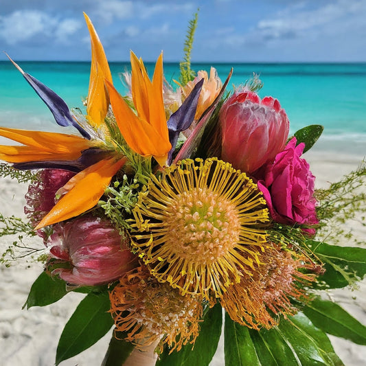 Sun-Kissed Splendor: Top 5 Trending Flowers for Fort Lauderdale Summer Weddings