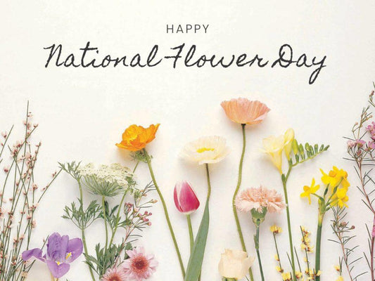 Celebrate Happy National Flower Day with DGM Flowers in Fort Lauderdale - DGM Flowers | Fort Lauderdale Florist