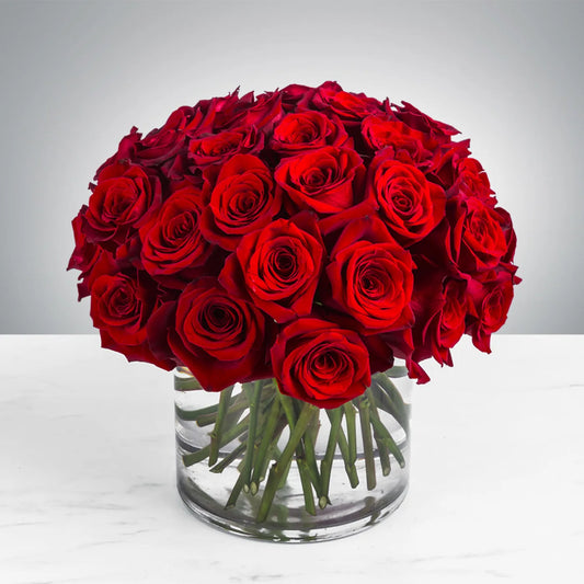 Romantic Rendezvous - 3 Dozen Red Rose - DGM Flowers  | Fort Lauderdale Florist
