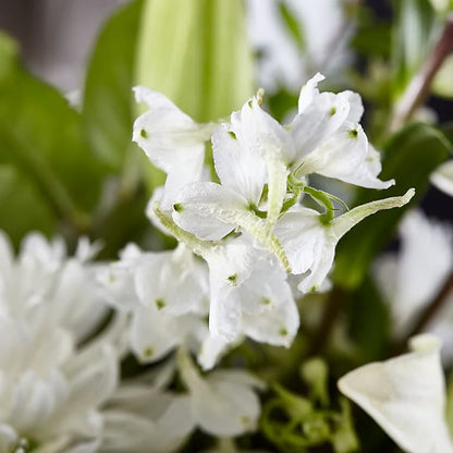 Classic Ivory Flower Bouquet