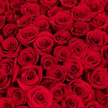 Ultimate Luxury Wrapped Rose Bouquet