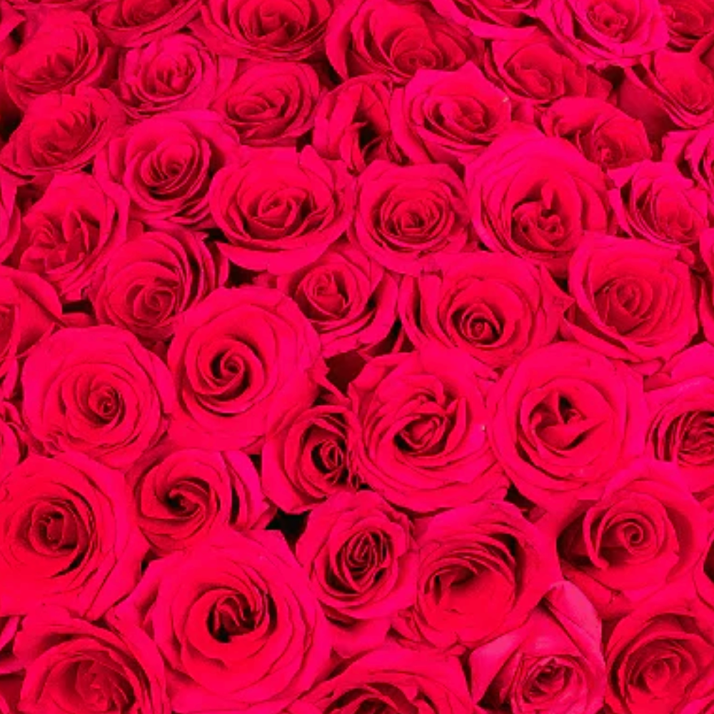 Ultimate Luxury Wrapped Rose Bouquet