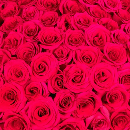 Ultimate Luxury Wrapped Rose Bouquet