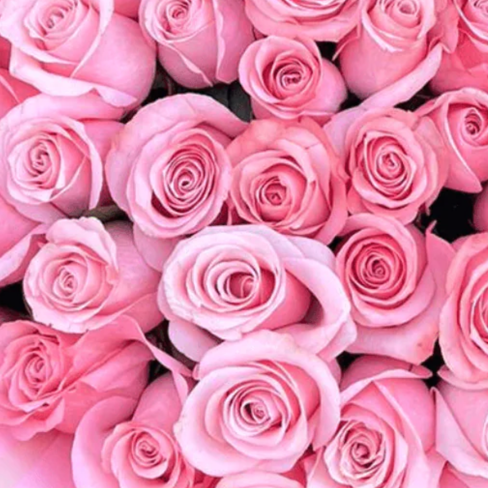 Ultimate Luxury Wrapped Rose Bouquet