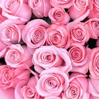 Ultimate Luxury Wrapped Rose Bouquet