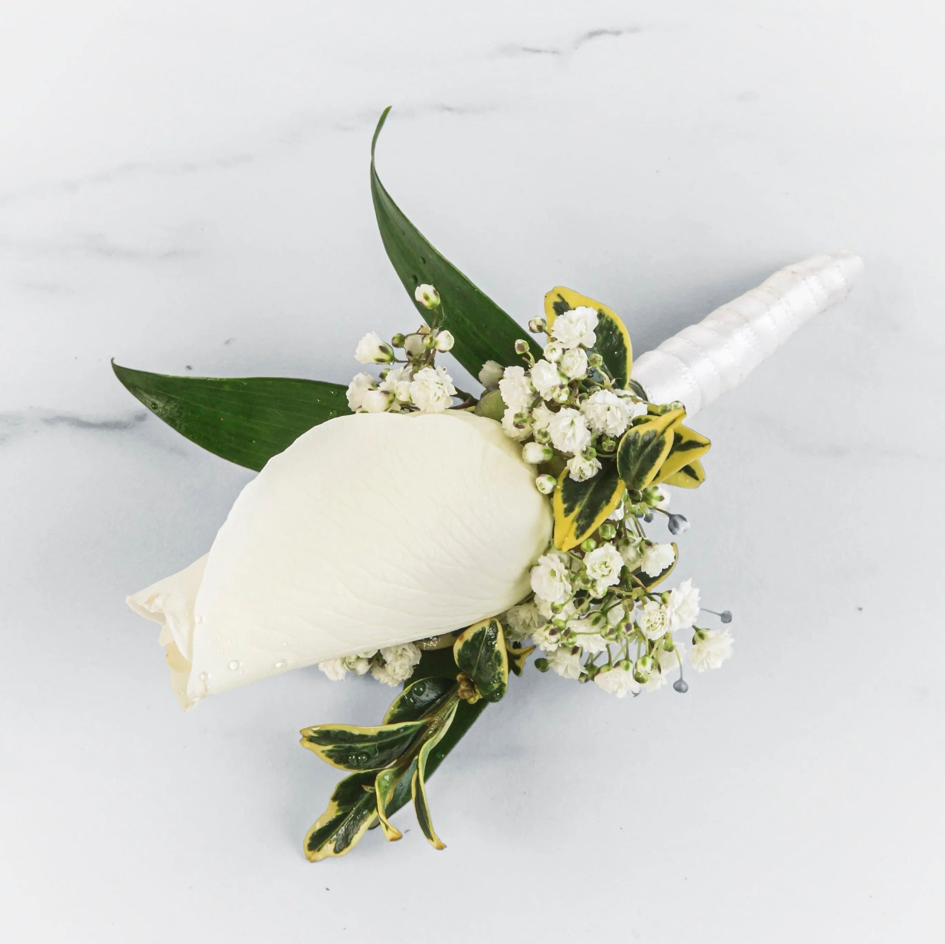 Single White Rose Boutonierre - DGM Flowers  | Fort Lauderdale Florist