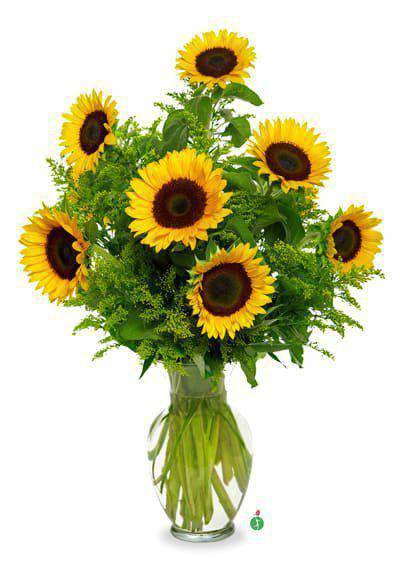 Snazzy Sunflowers Bouquet