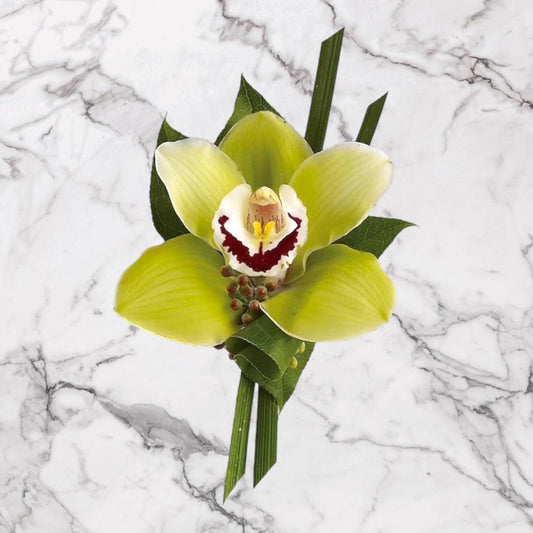 Cymbidium Orchid Elegance Boutonnière