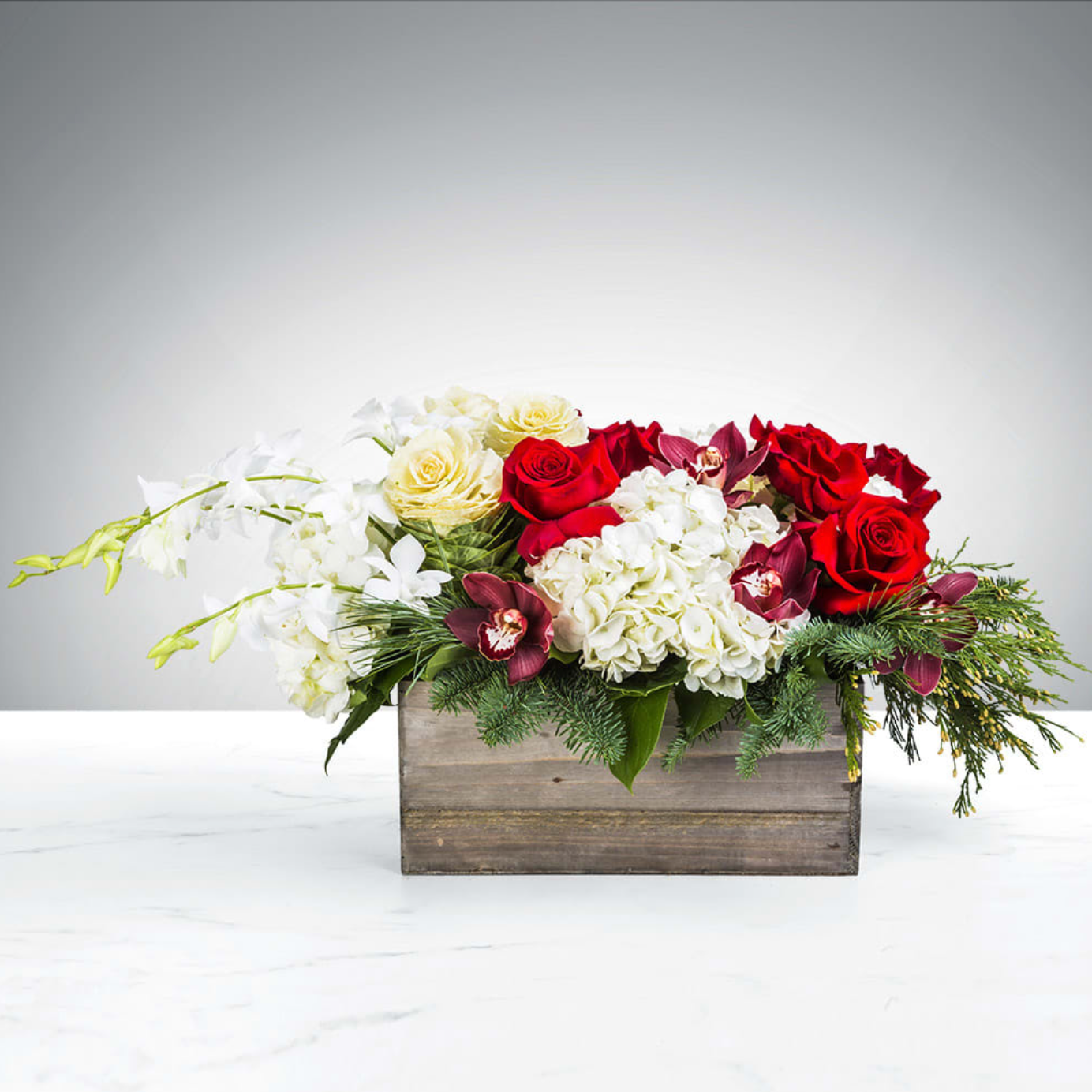 Snowman’s Scarf - DGM Flowers  | Fort Lauderdale Florist