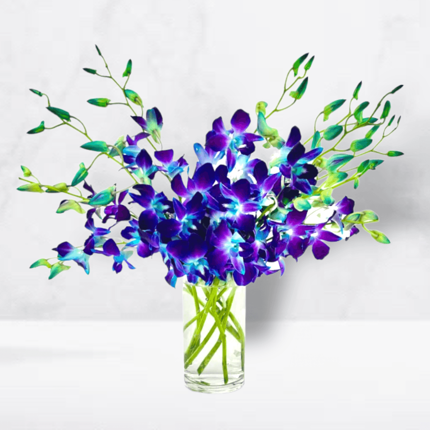 Bright Blue Dendrobium Orchids - DGM Flowers  | Fort Lauderdale Florist