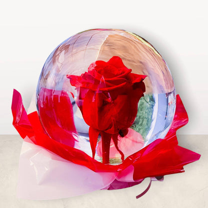 Rose Globes - Red Rose, Pink Rose, Blue Rose, Rainbow Rose - DGM Flowers  | Fort Lauderdale Florist