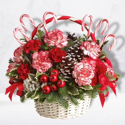 Candy Cane Christmas - DGM Flowers  | Fort Lauderdale Florist