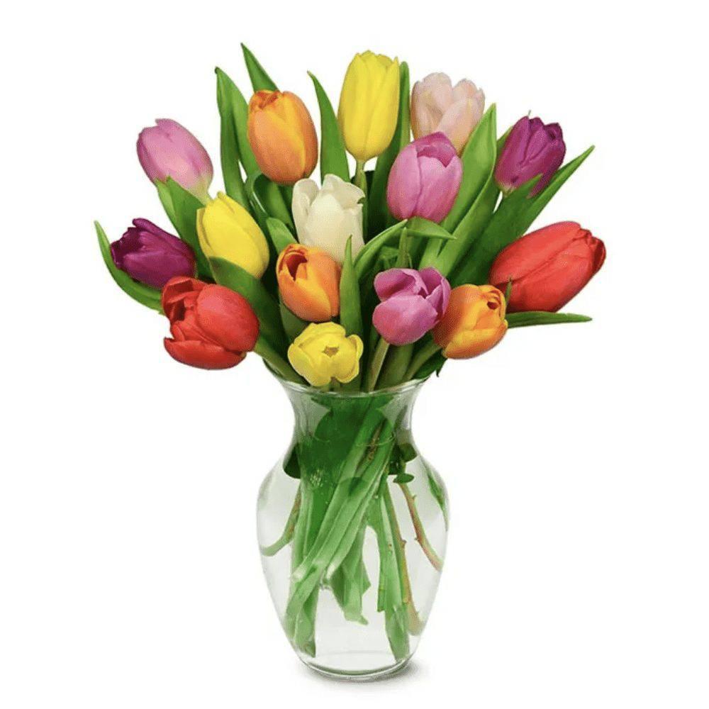 Rainbow Tulip Treasure - DGM Flowers  | Fort Lauderdale Florist