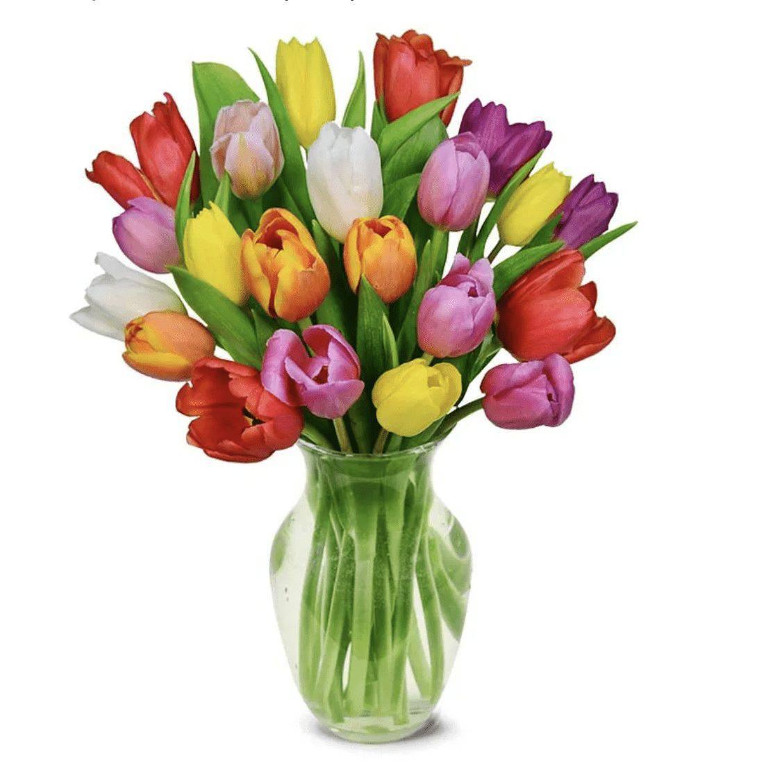 Rainbow Tulip Treasure - DGM Flowers  | Fort Lauderdale Florist