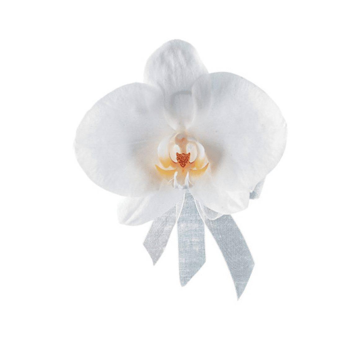 White Phalaenopsis Corsage - DGM Flowers  | Fort Lauderdale Florist
