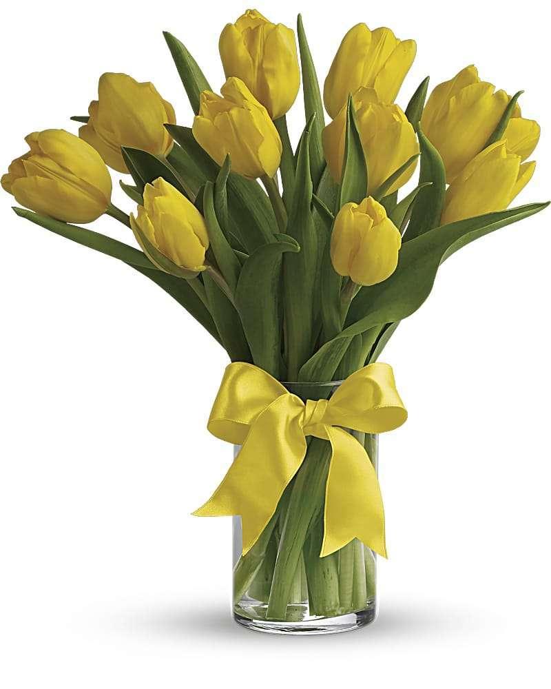 Sunny Yellow Tulips - DGM Flowers  | Fort Lauderdale Florist